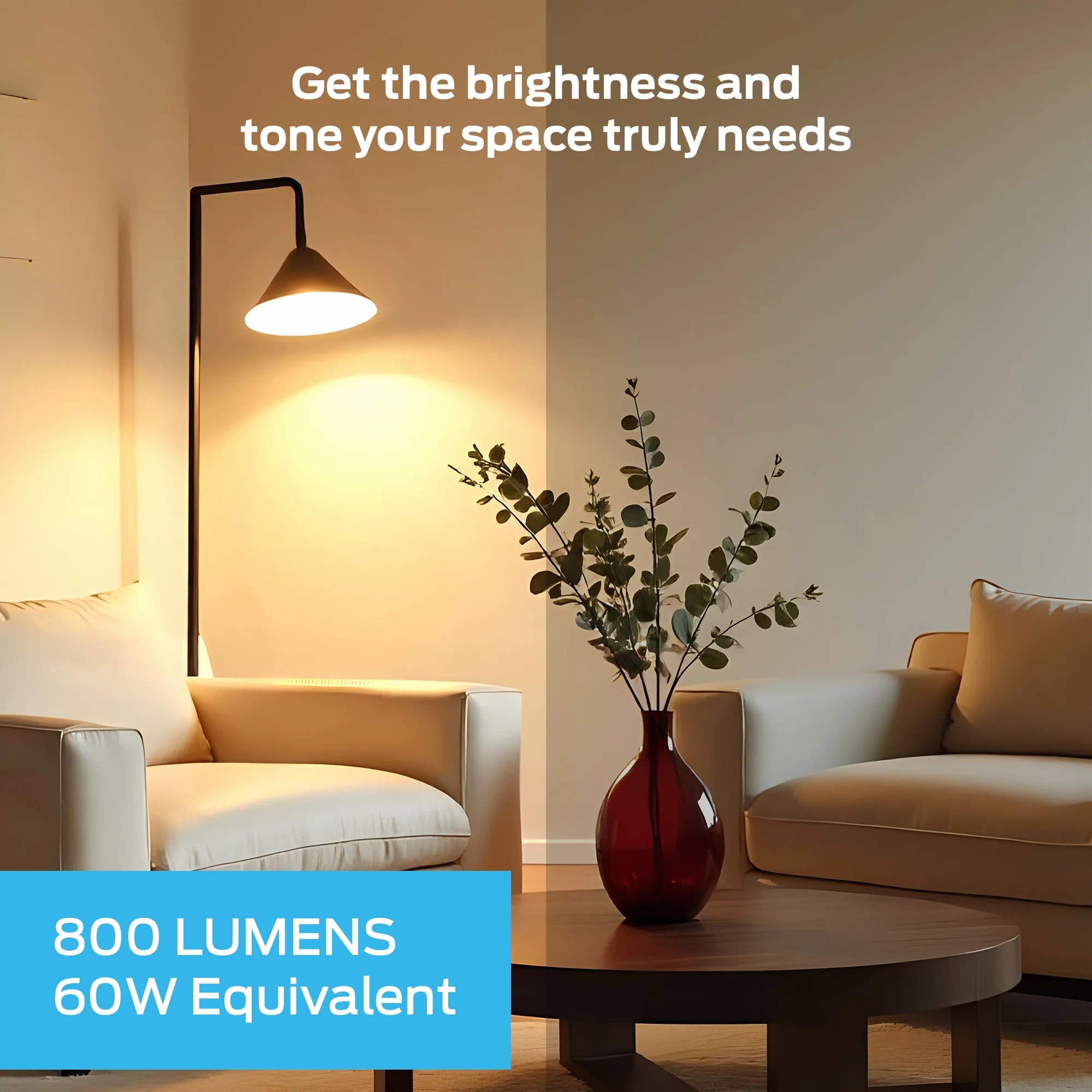 MN SMT RGB+CCT A19E26Bulb 4pk - Image 6
