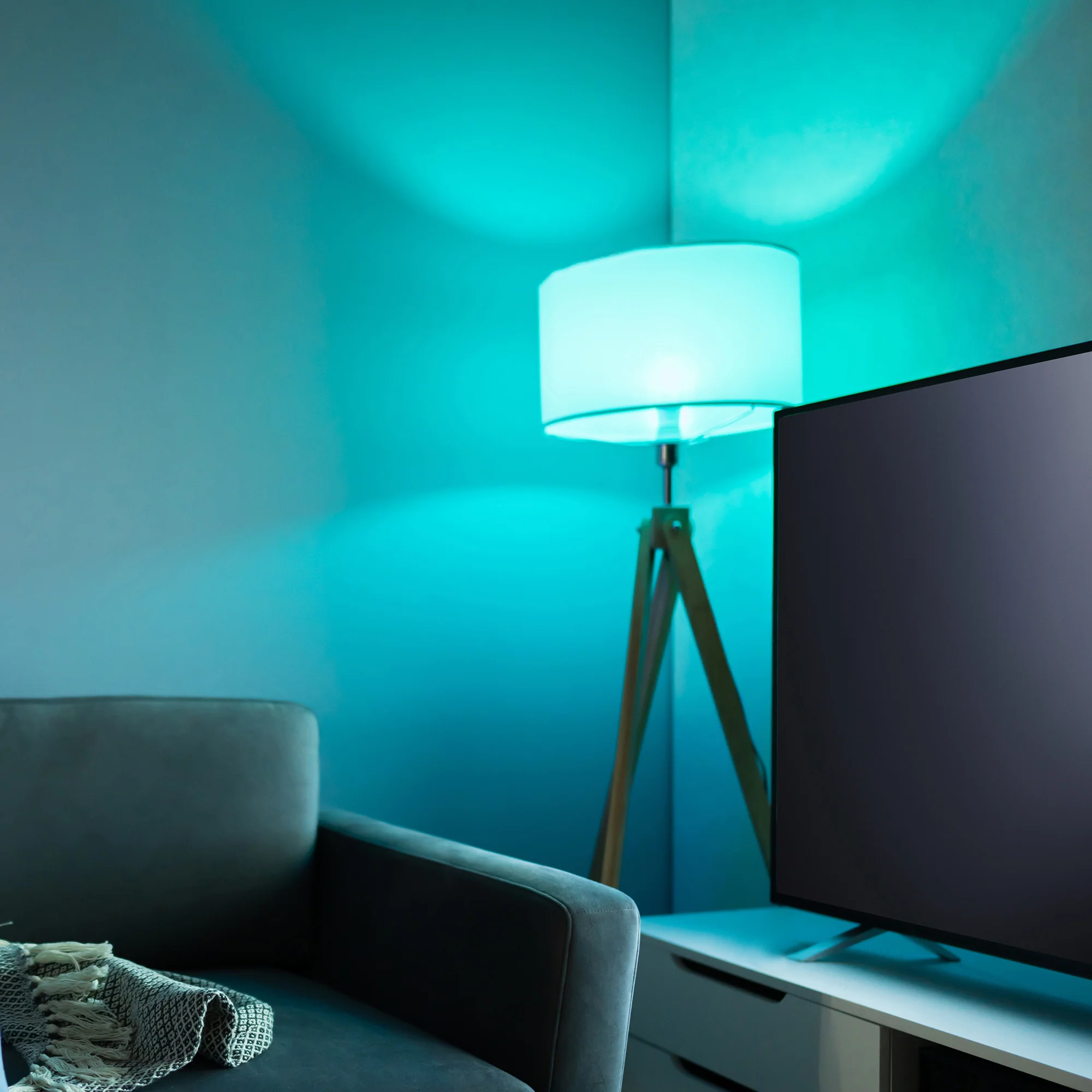 Smart Multi-Color / Warm White LED Light Bulb A19/E26 - Image 4